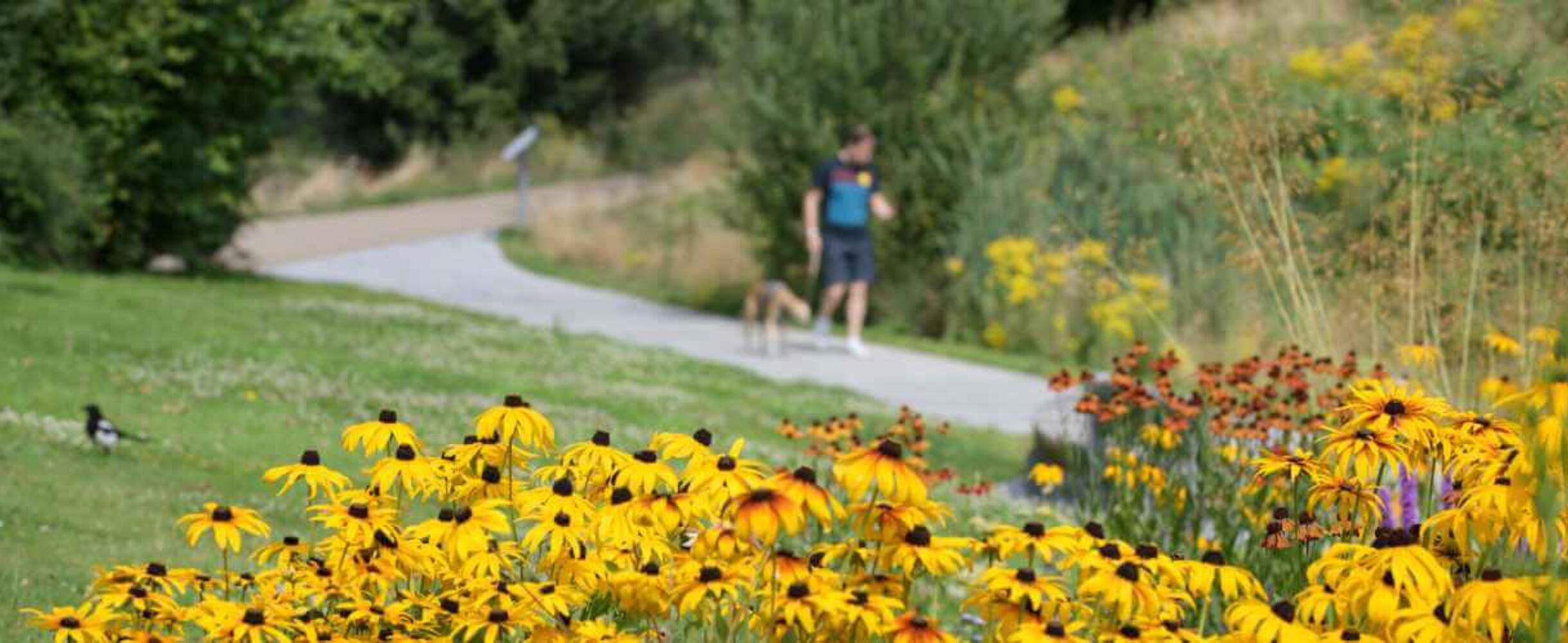 Filming on the Park | Queen Elizabeth Olympic Park